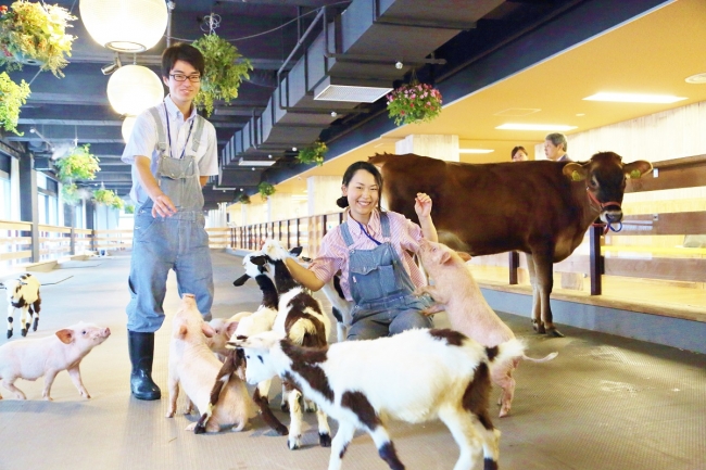 酪農特化型転職イベント「酪農リクルーティングフェア」、東京・大手町にて3月開催