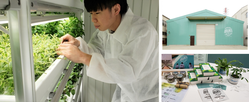 屋内農園型障がい者雇用支援「IBUKI」、16拠点目の施設を大阪府にて8月開設