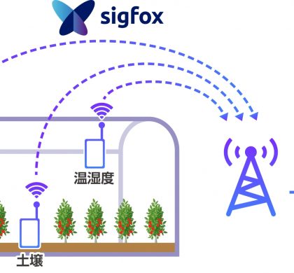 AI/IoTを活用した次世代施設園芸システム
